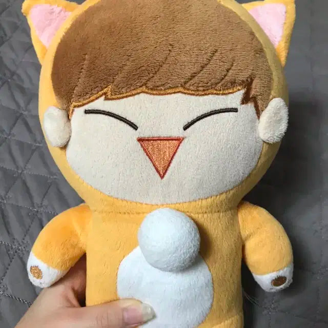 비투비육성재인형 사막성재 양도