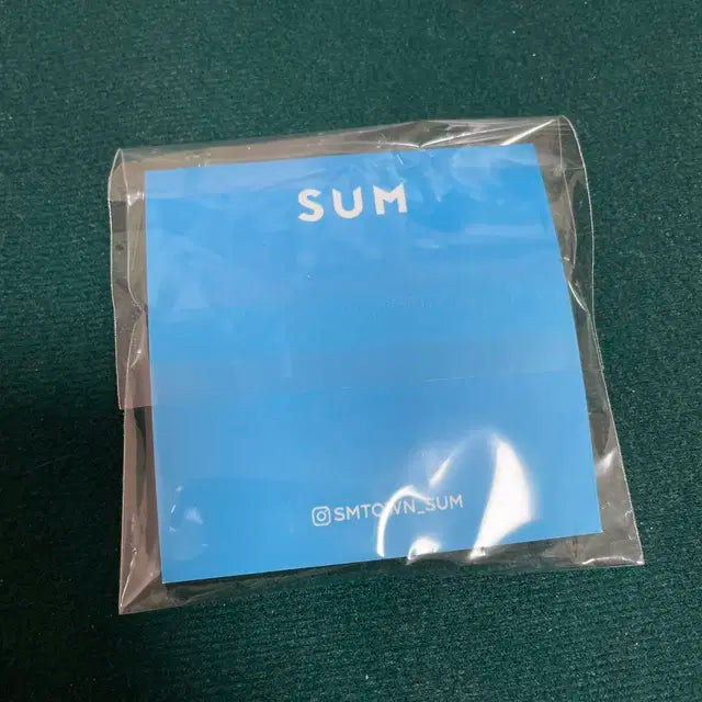 레드벨벳 레드룸 실리콘 팔찌