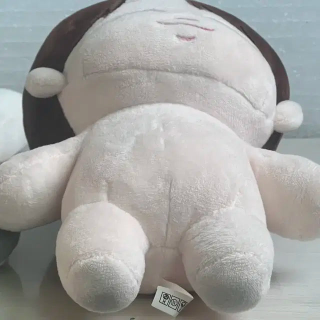 방탄 지민 짐짐돌