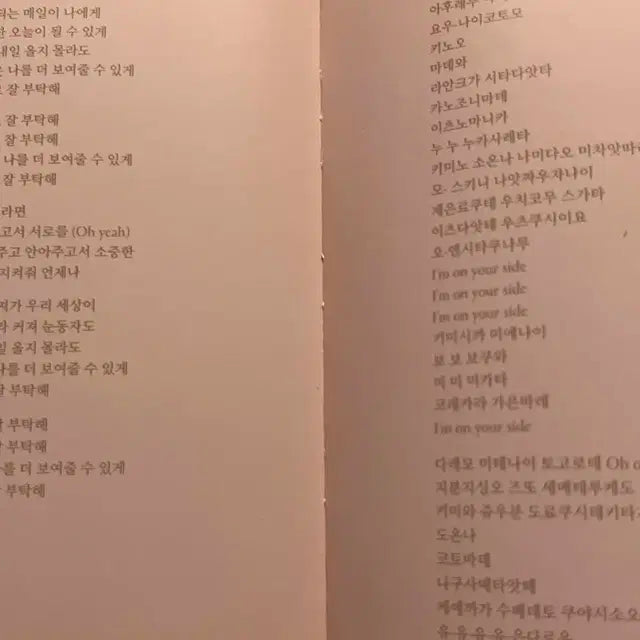 아이즈원 라비앙로즈 앨범(rose)