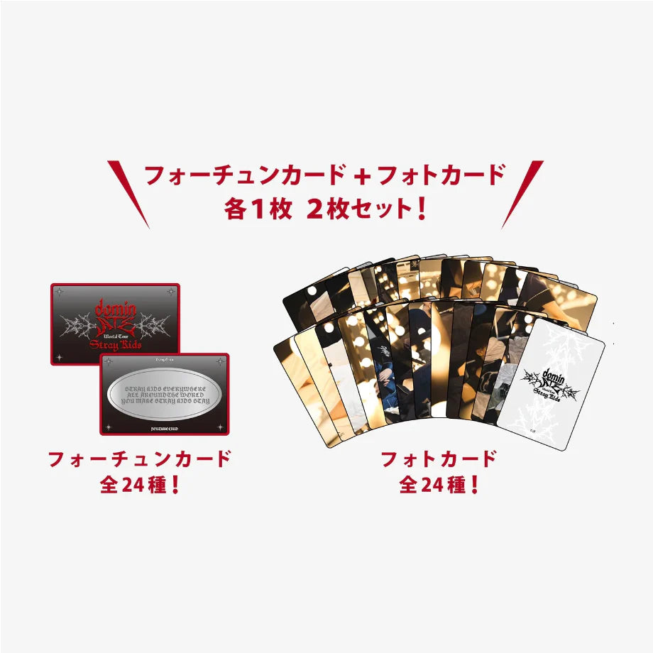 STRAY KIDS - World Tour <dominATE JAPAN> Official Goods