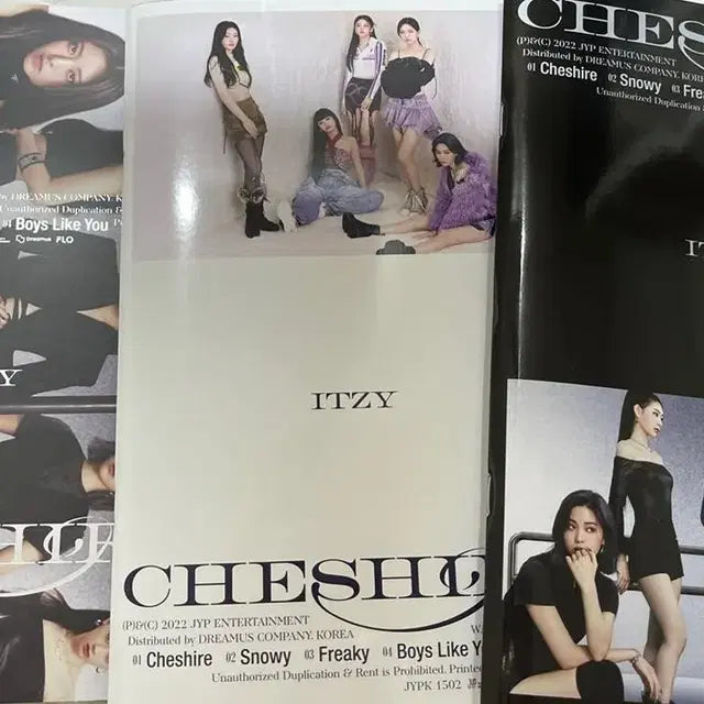 있지 체셔 cheshire 앨범