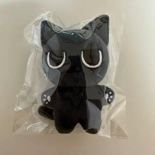 1차 직냥이 에스파 카리나 인형 양도