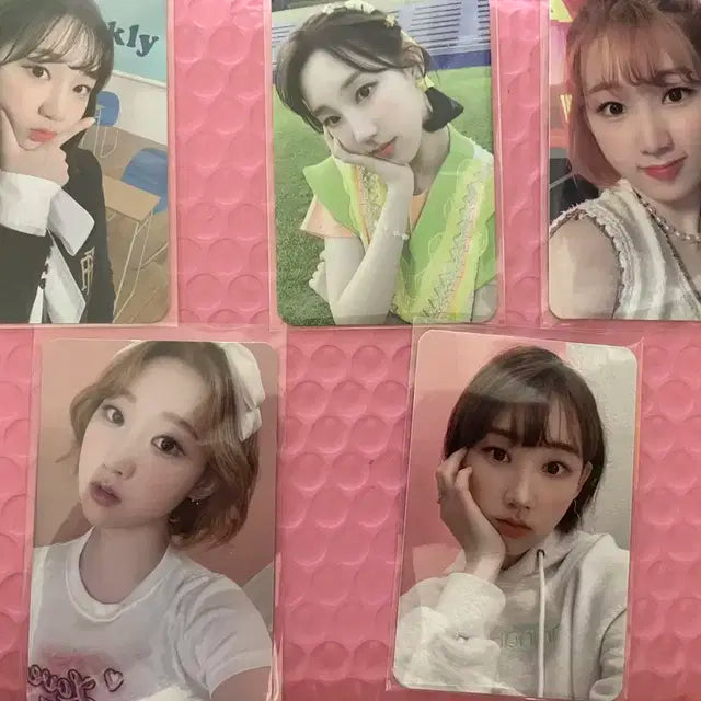 위클리 앨범 포토카드