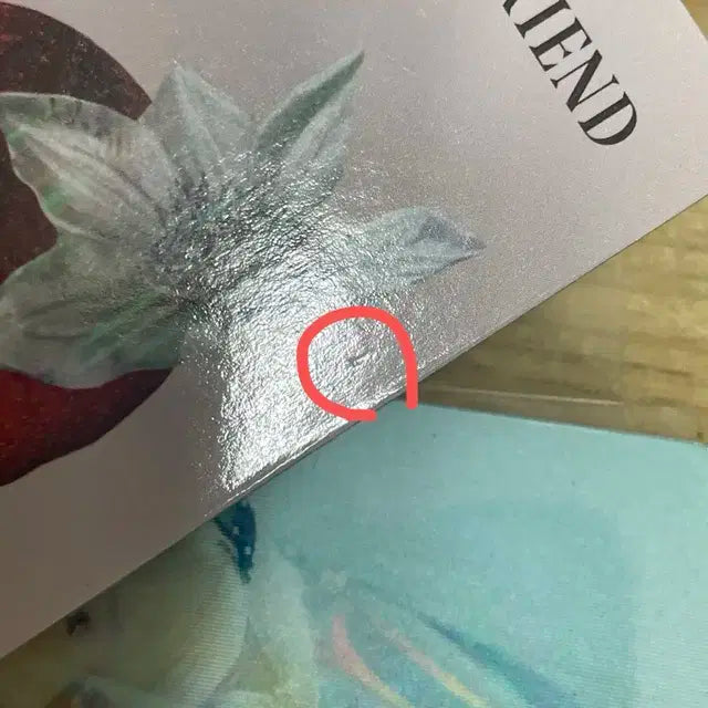 여자친구 애플 포카