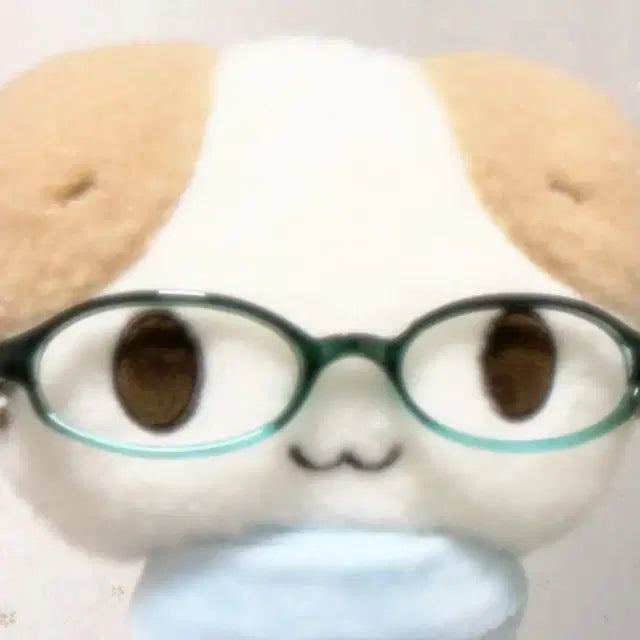 리즈포카 팔아요