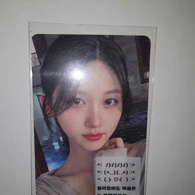 아이브 가을 사웨 럭드 (최저가)