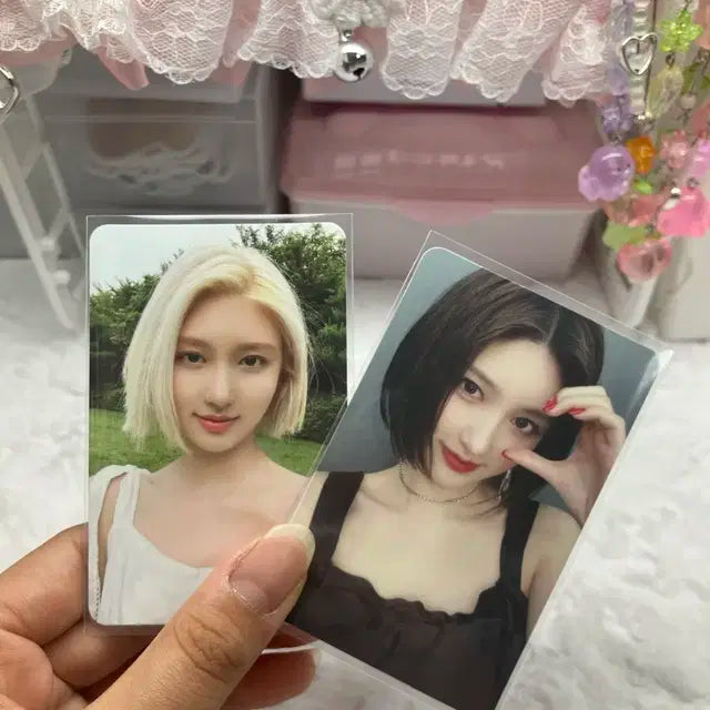 아이브 가을 포카(팔렸어용)