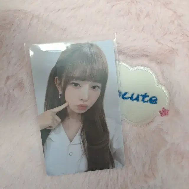 아이브 레이 파파존스 2차