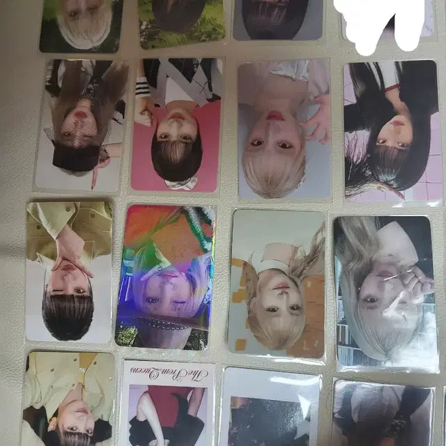 아이브 리즈 일괄, 포카 팔아요!