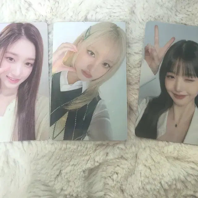 아이브 파파존스 포토카드
