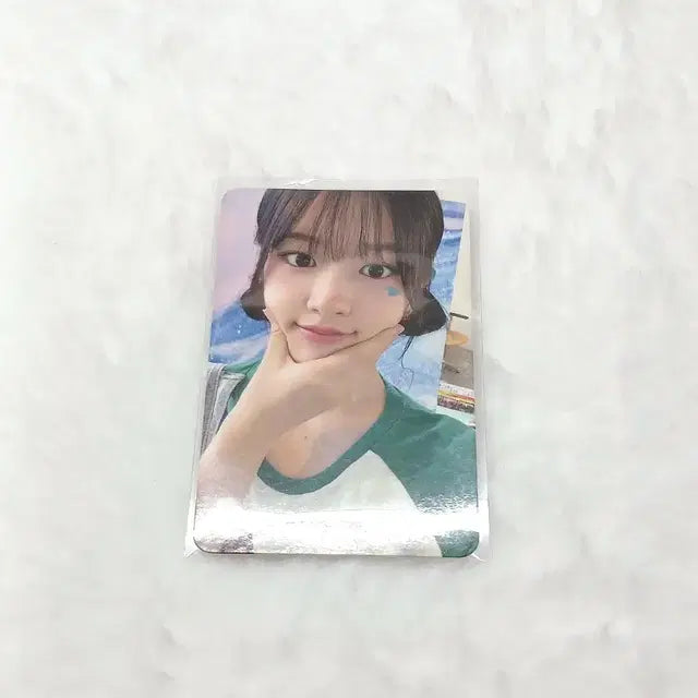 2025 시그 유진 포카