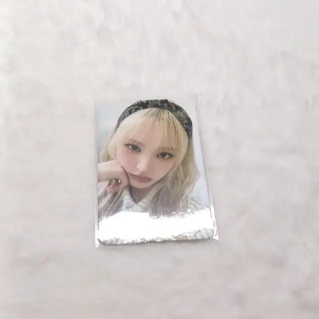 2025 시그 리즈 포카