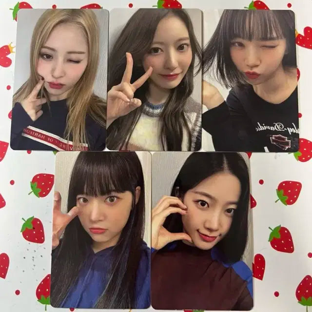 르세라핌 피어나 1기 포카 양도