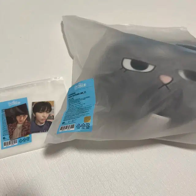 보이넥스트도어 쁘넥도 한탯풍 쿠션 + 포카