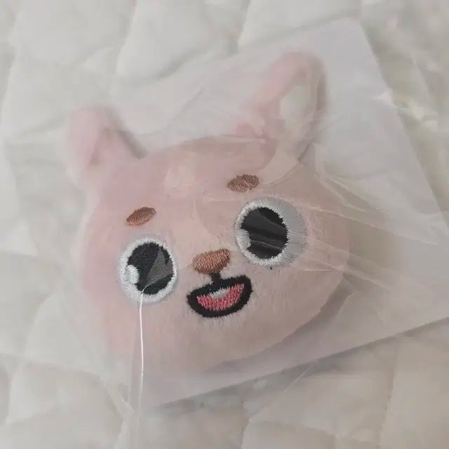 데이식스 데니멀즈 토이뱃지 원필 필끼