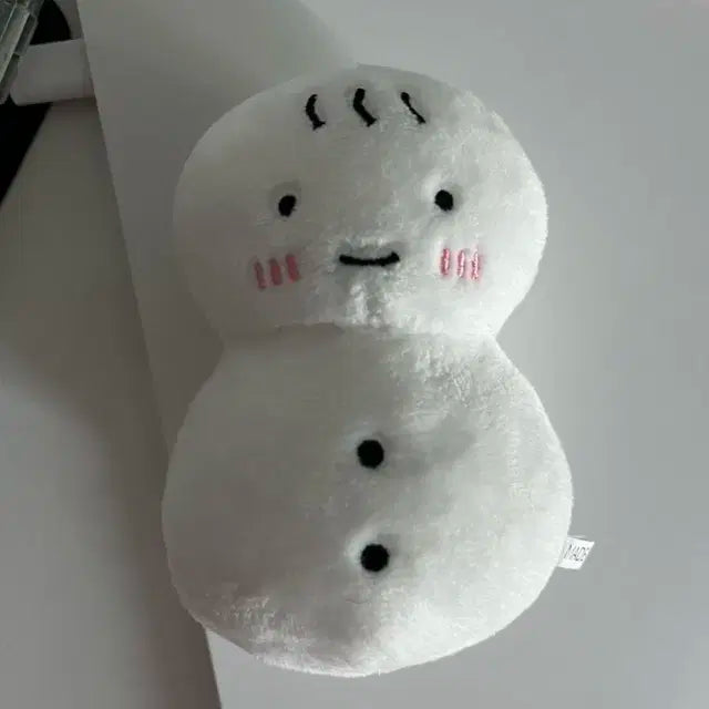 보이넥스트도어 보넥도 인형 운돌이 양도