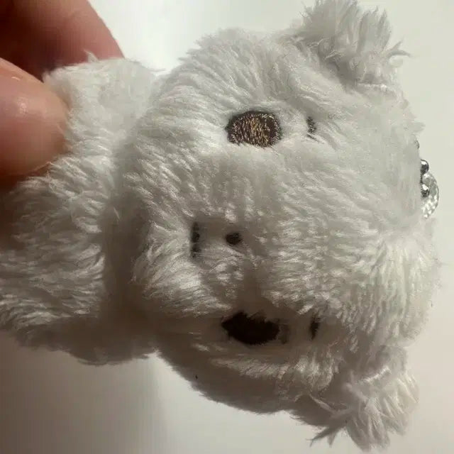 꽈악댕 미니