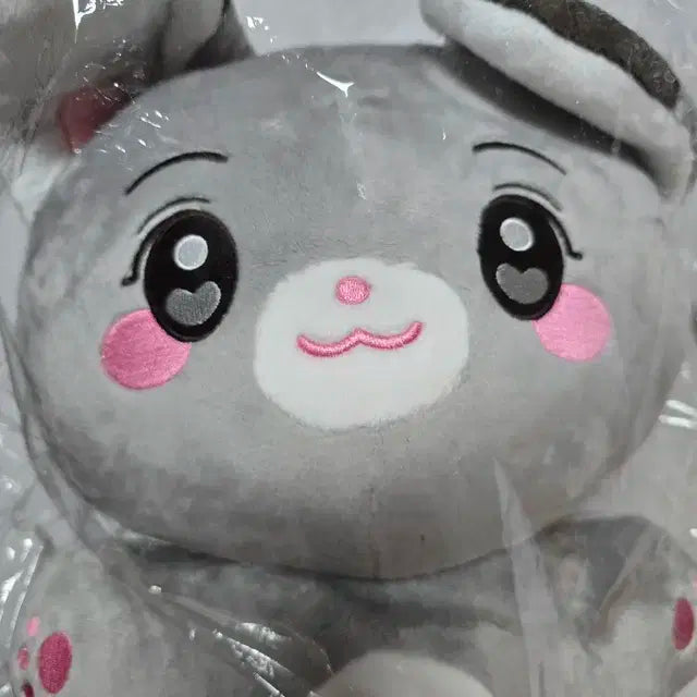 엔시티드림 런쥔 생카 럭드 인형 40cm