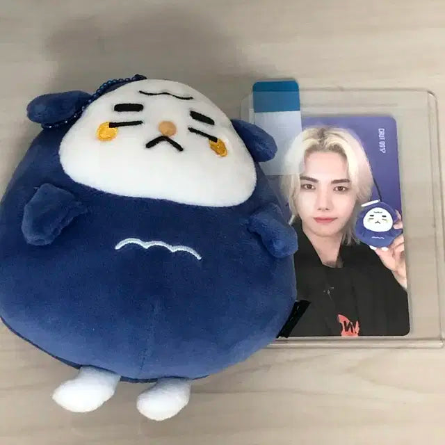 크래비티 크크루 강몽이