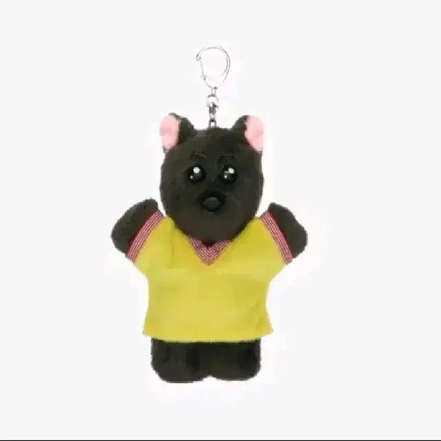 보넥도 쁘넥도 명명이 키링 포카 포함