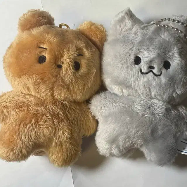 더보이즈 인형 달곰쥬냥