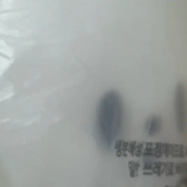 스키즈 스키주 콩키주 리빗 쿠션