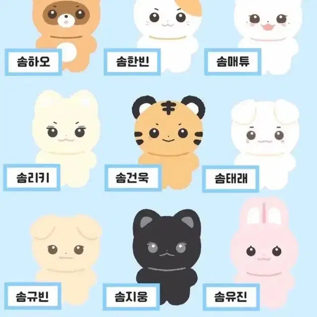솜한빈 팔아요