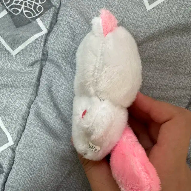 냥빈이 성한빈 인형