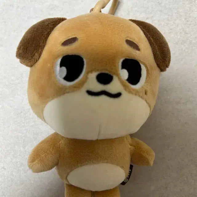 24 데니멀즈 돈 데멀
