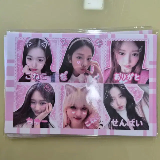 아이브 프리쿠라 비공굿