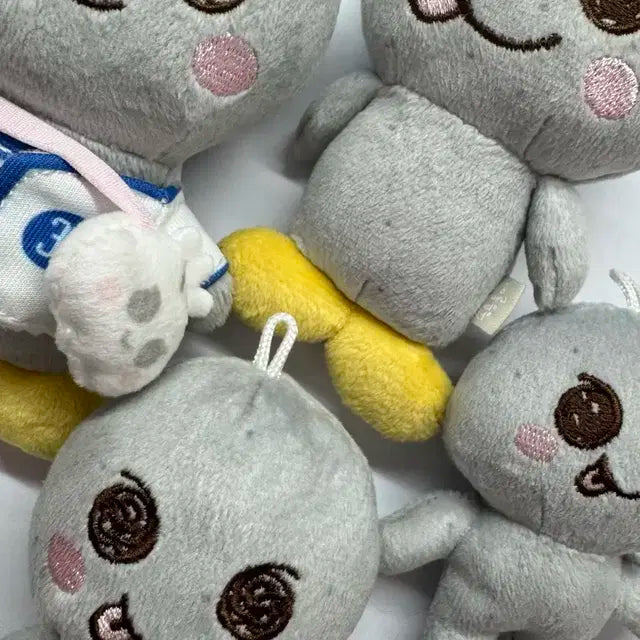 송용돌이 판매(공굿 넣어드려요!!)