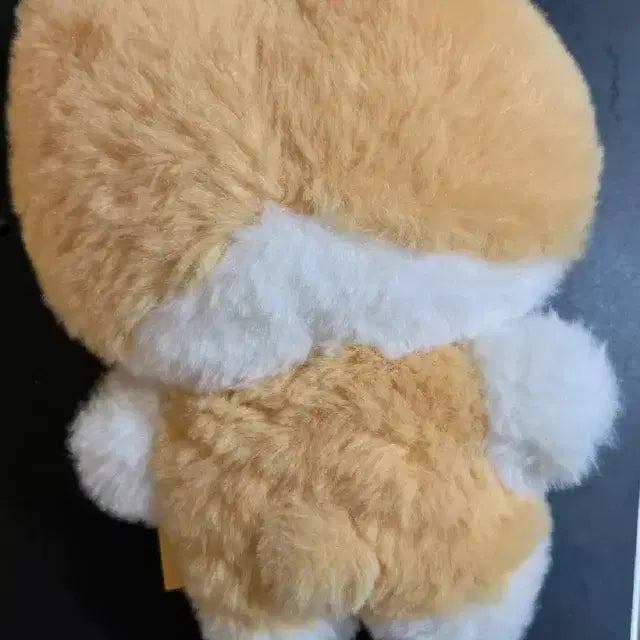 백현 터래기 인형