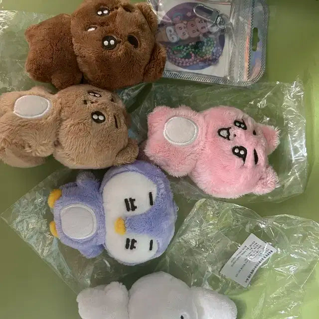 뽀바투 말랑빈 말랑쭌 뽀송밤 뽀송텬 말랑닝