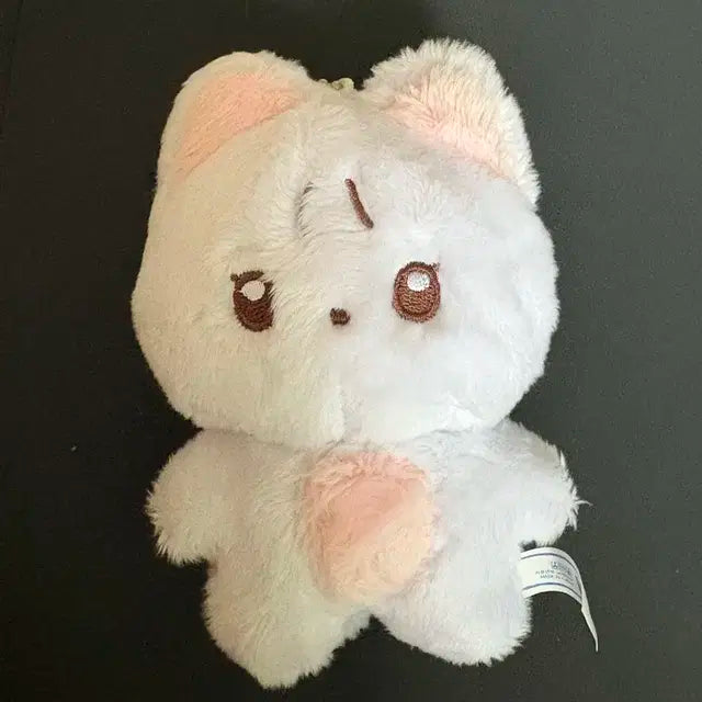 더보이즈 아이돌 인형