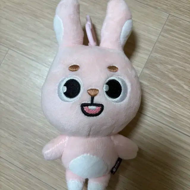 데이식스 2024 필끼 데니멀즈