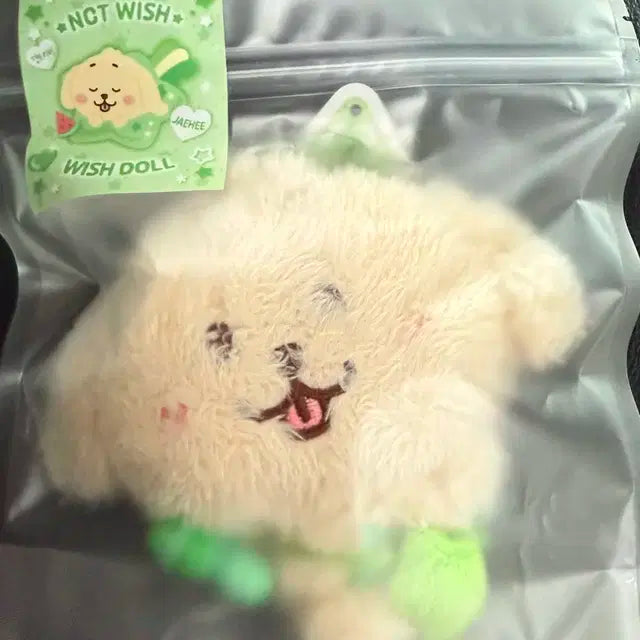 위시돌 댕트리버
