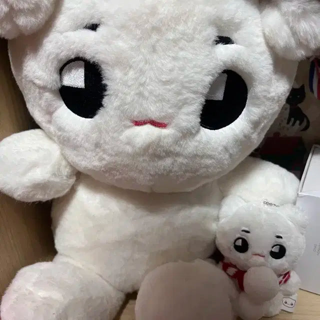 태용 빅툥야 양도 합니다!