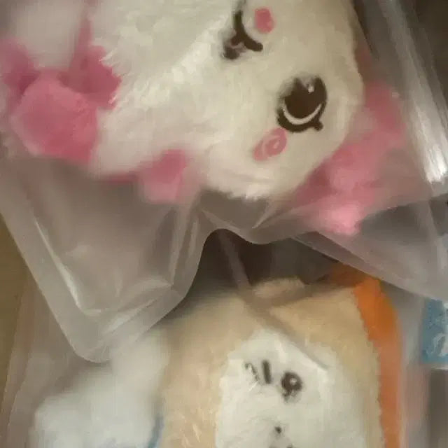 위시돌 버블냥 쿠리