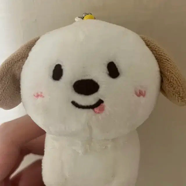 라이즈 앤톤 멍룡이 (목도리 포함)