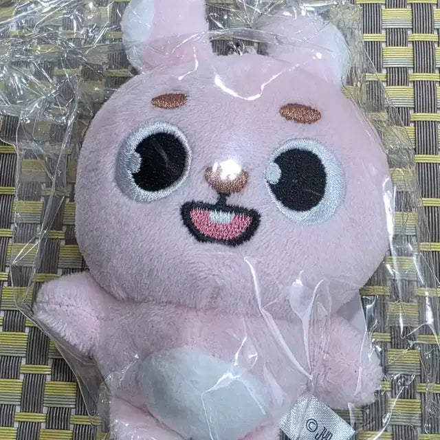 데이식스 필끼백참