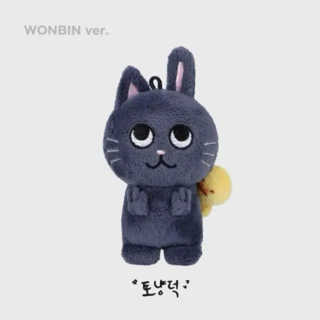 라이즈키링