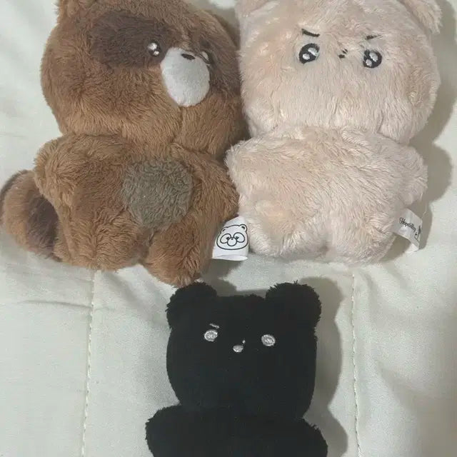 쪼구리 울망구리 횬도리 현재 선우 인형 양도