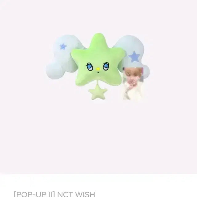 엔시티 위시 유우시 위츄 쿠션 (배송비 포함)