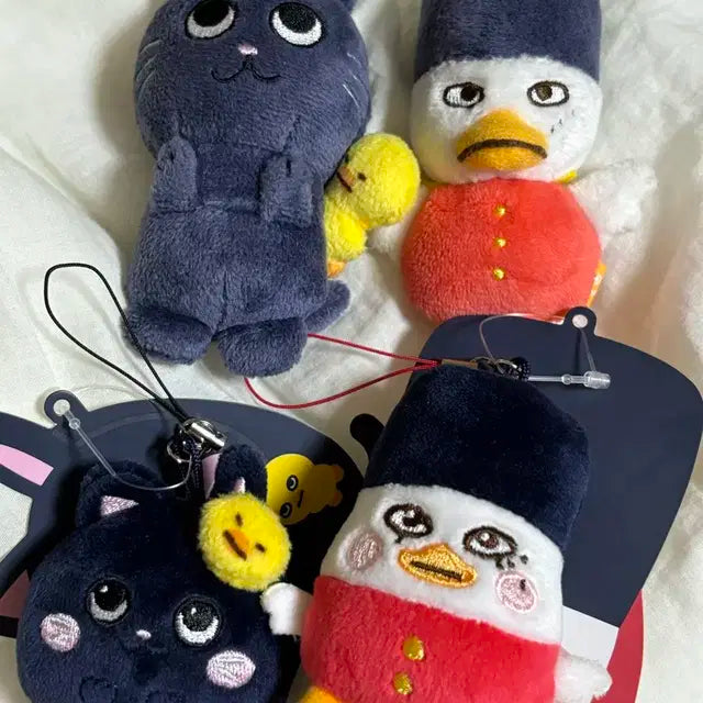라이즈 토냥덕 똘병