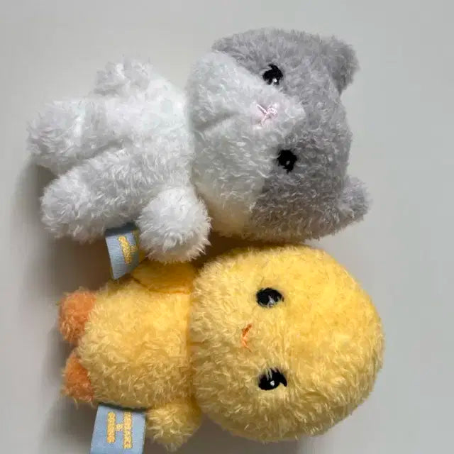 탬아리 꿍이 개봉 중고라 싸게 올려요