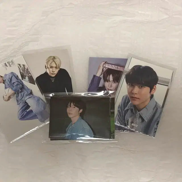 (급처) 라이즈 은석 송용돌이 20cm +공식굿즈