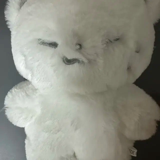 호찌 20cm