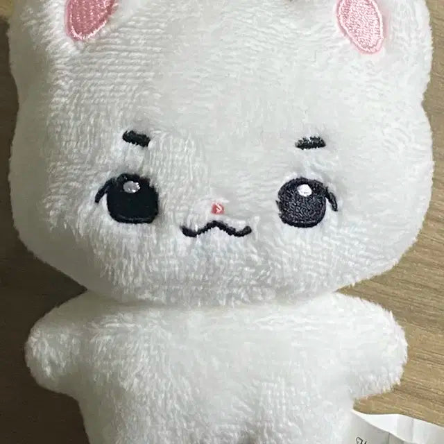 루시 신예찬 신예삐 양도