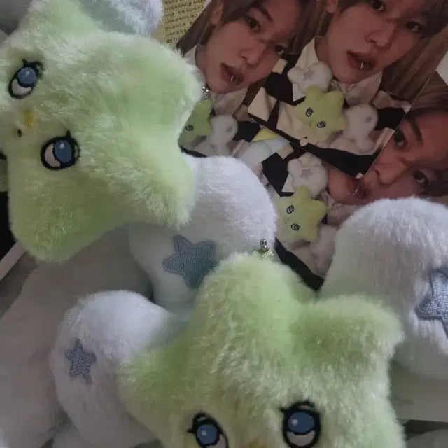 엔시티 위시 위츄 원가 양도